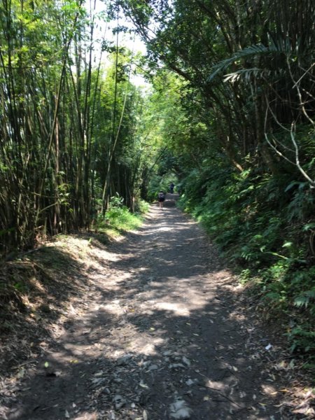 20190405_聖母登山步道588385