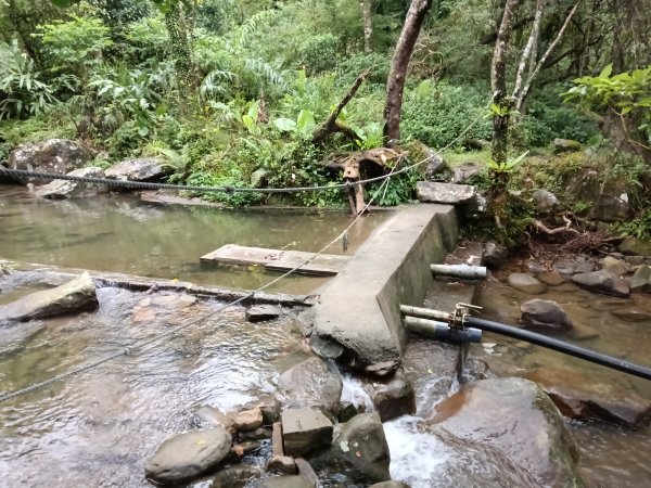 雙溪區中坑古道+大夯瀑布+中坑東山+中坑東山尾稜O型2921521