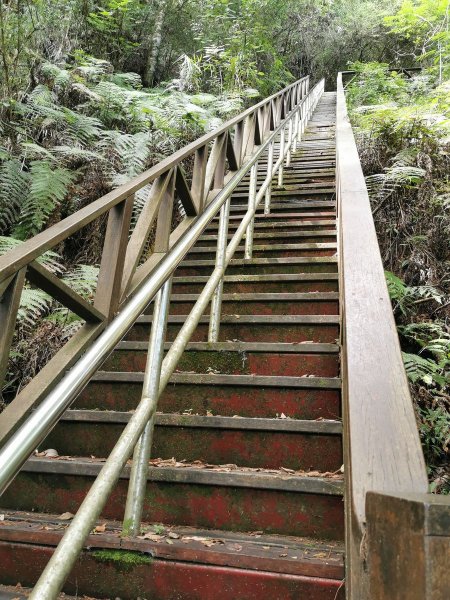 梨山賓館生態環保步道-陡階梯及特色瓦片道1049446