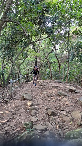 台北大縱走第一段1249093