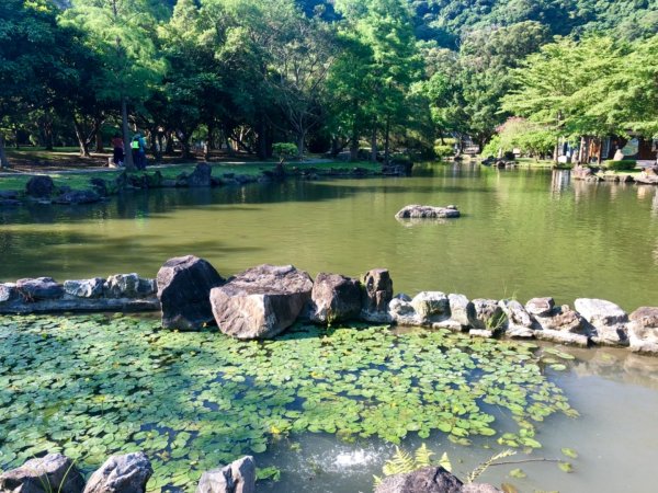 2019-6-15北投貴子坑親山步道612944