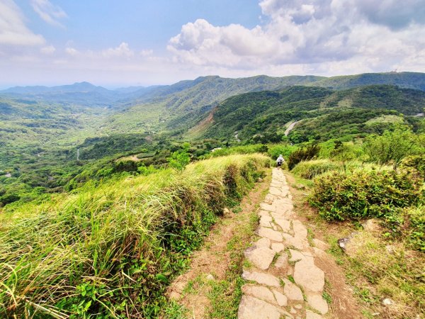 頂山，石梯嶺，竹篙山，雞心崙，五指山，梅花山，香對山，雙溪溝古道，風櫃嘴步道，土城明德山1664606