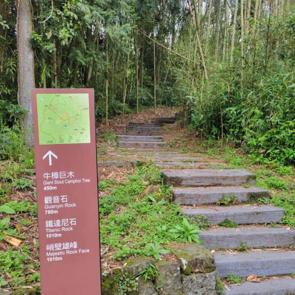 阿里山頂湖步道＞大凍山＞頂湖自然生態區2505500