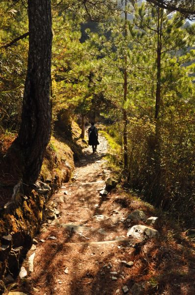 玉山前峰傷痕累累行107340