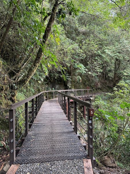 漫步特富野古道2371487