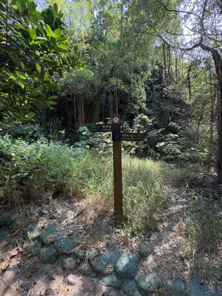 20251012高雄半屏山步道2915117