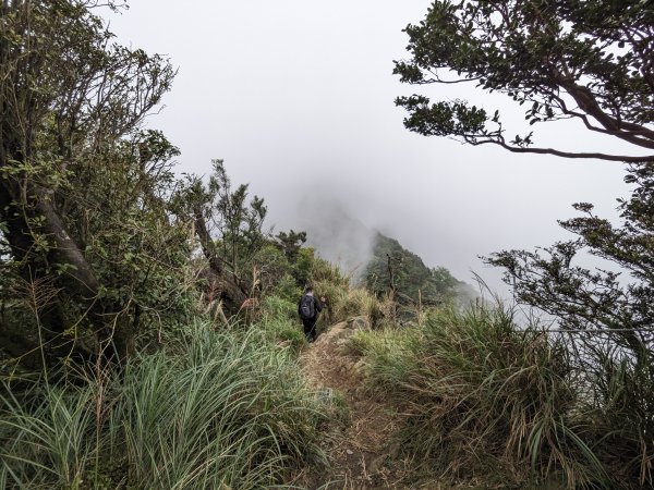 虎山加里山2606364