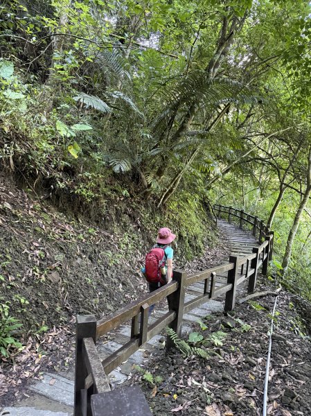 竹坑溪步道 202506282827145