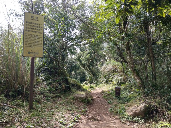 臺北大縱走第二段：小油坑-大屯山-清天宮800052