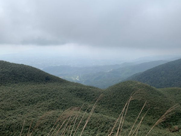 三角崙山、聖母登山步道1638307