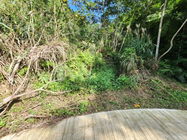 20251214石牛山柑坪山新柑坪山牛背岩2972759