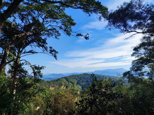 飛鳳山觀日坪古道2656251