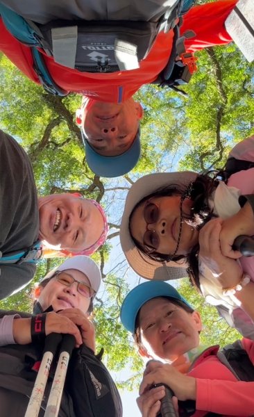 雪山坑登山步道尋巨人2978490