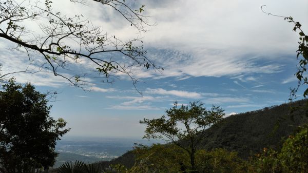 樟腦寮-獨立山-大巃頂184823