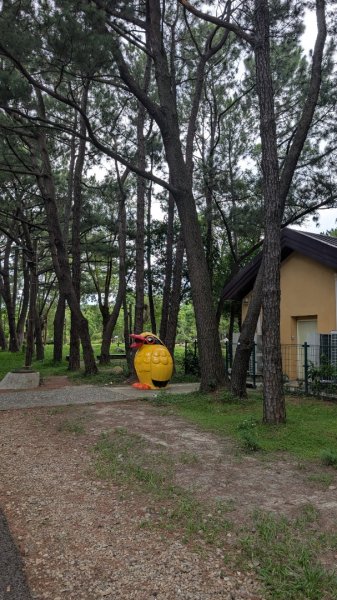 20250629大湳森林公園好所在2823578