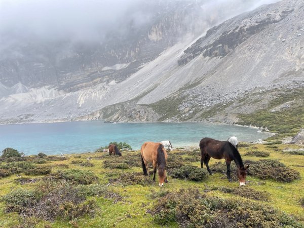 川藏33天深度之旅💙#稻城亞丁-來古冰川2901898