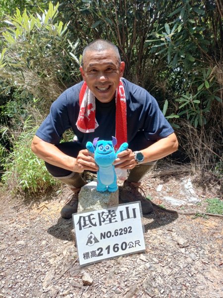 低陸山-嘎拉賀神木1765098