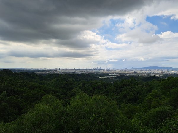 高雄觀音山步道3124205