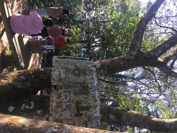 梅花撲鼻香2686619