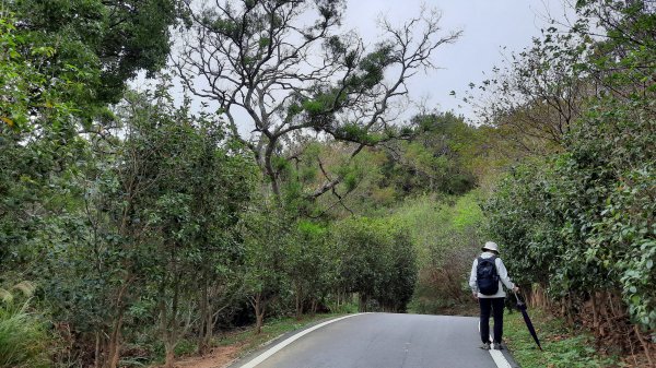 《新竹》城市微旅｜青青草原及香山濕地賞蟹步道202112121547107