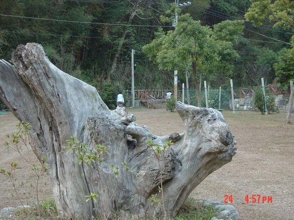 象鼻古道_苗栗泰安象鼻部落200711241954749