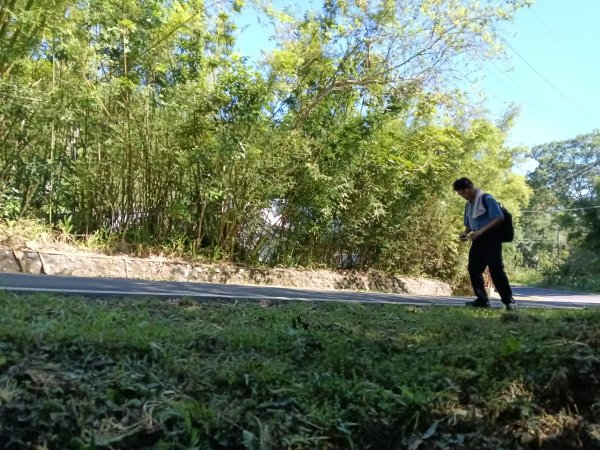 雙溪區內盤山坑古道+石硿子越嶺古道+盤山坑古道+過火坪古道O型2914366