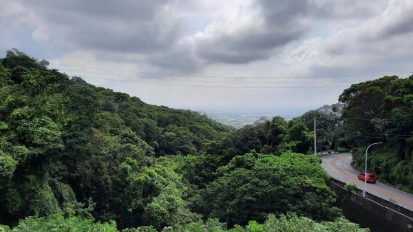 《彰化》玉蘭花香｜赤水崎公園步道及松柏坑山202308062241227