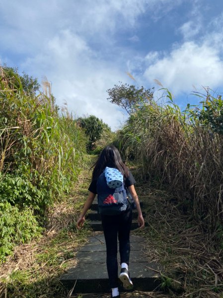 五分山步道1249717