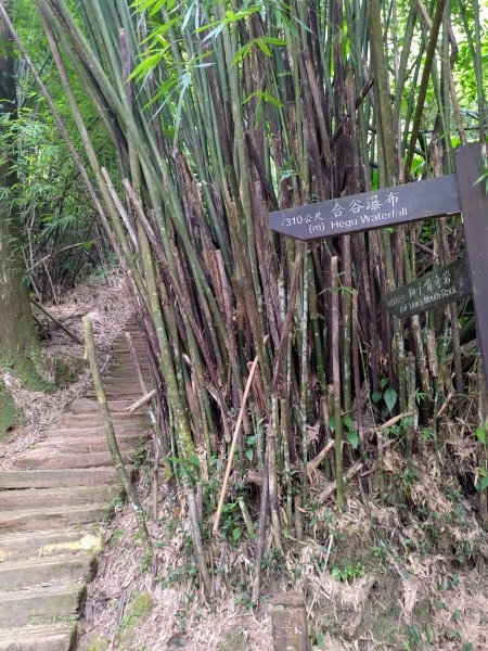 三貂嶺瀑布群步道→大華車站1053228