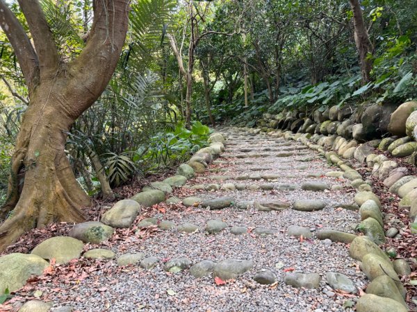 北車-桃園-齋明寺-自行車道-中庄調整池-七張-月眉2684824