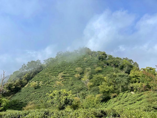 大巃頂-獨立山-阿拔泉山 O繞1680478