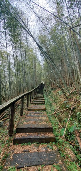 2025-01-19孝子路步道、大巃頂2694247