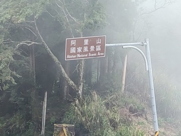 1140830特富野古道3099979