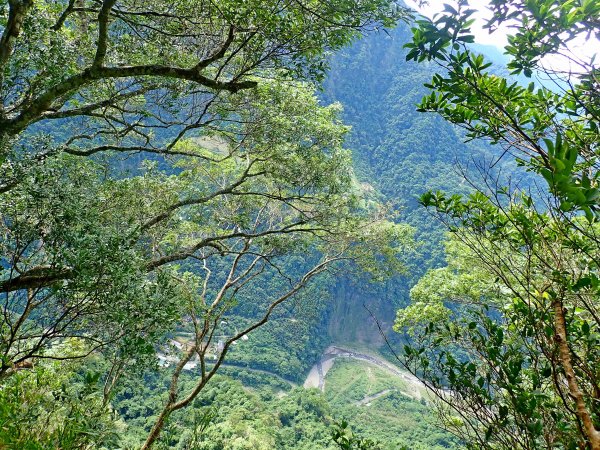 三角湖向天湖光天高山o走-專程來看海狸624659