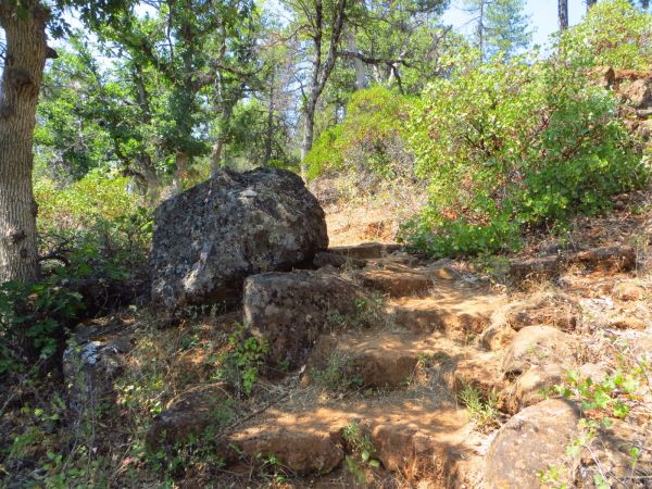 淺嚐太平洋屋脊山脈陵線縱走(部分路段)159047