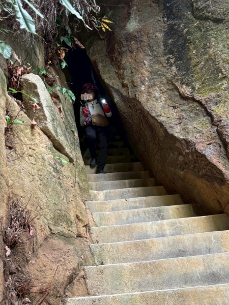圓通寺烘爐地登山步道大O走3007150
