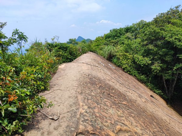 金面山/白石山-小百岳#21-桃園市大溪區2247880