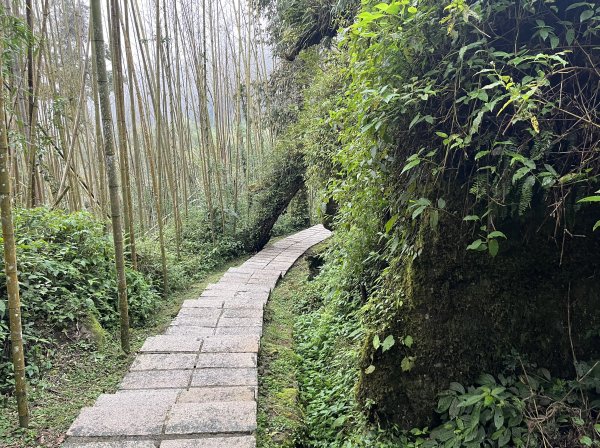 [嘉遊好步道．來嘉走走-04/10] 2024_1011 阿里山頂湖步道2624710