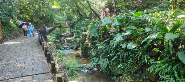 台北四獸山2804888