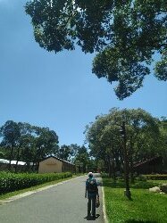 霄裡好風光,運動樂悠遊-大湳森林公園2814965