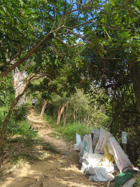 2024.12.21－旗尾山步道2677424