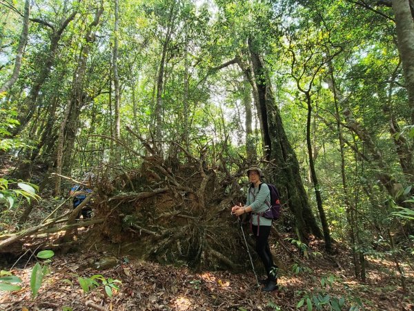 1130511夫拉縱走2500157