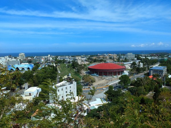 步道巡訪員 l 鯉魚山步道七月巡訪日誌1050316