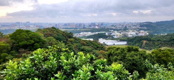 內湖金面山，論劍山，鶯歌蛋山，忠義山，長壽步道，桃園虎頭山公園1976947