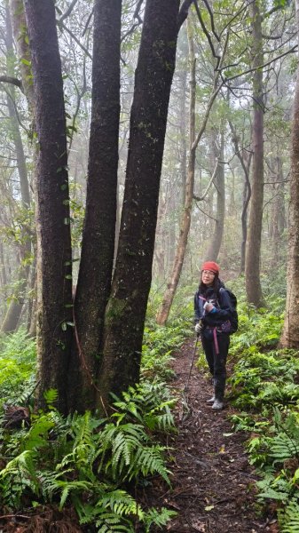 金牌縱走202502082709509