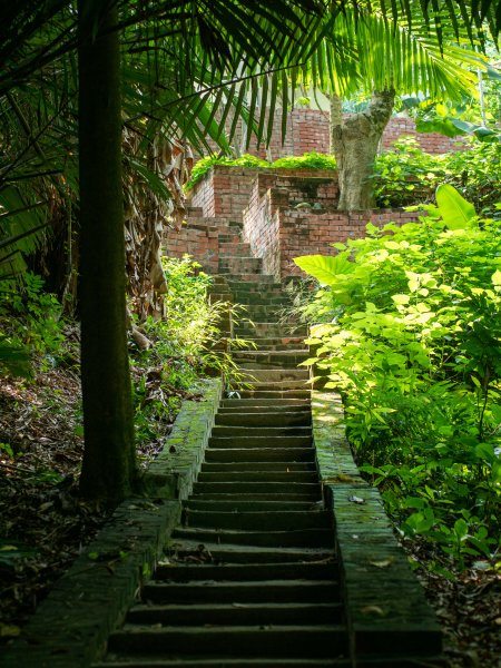 石牌坑親水步道、密毛魔芋、四面佛寺2147361