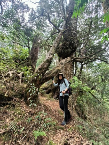 1130511夫拉縱走2500170