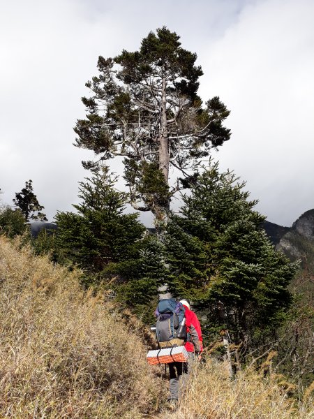 雪山北峰1086052