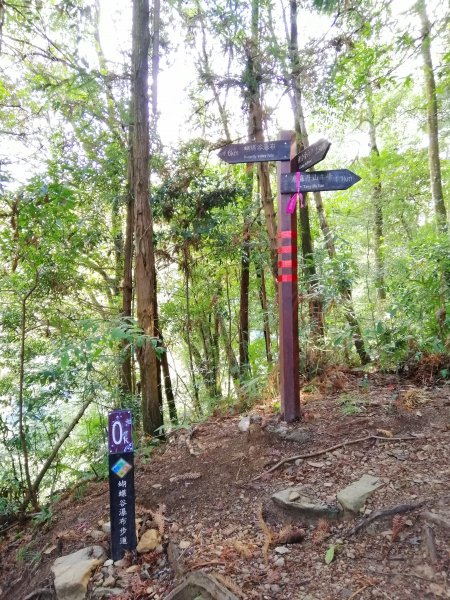 【台中。和平】谷關七雄入門款。 唐麻丹山874517