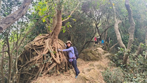 旗靈縱走11501172983336